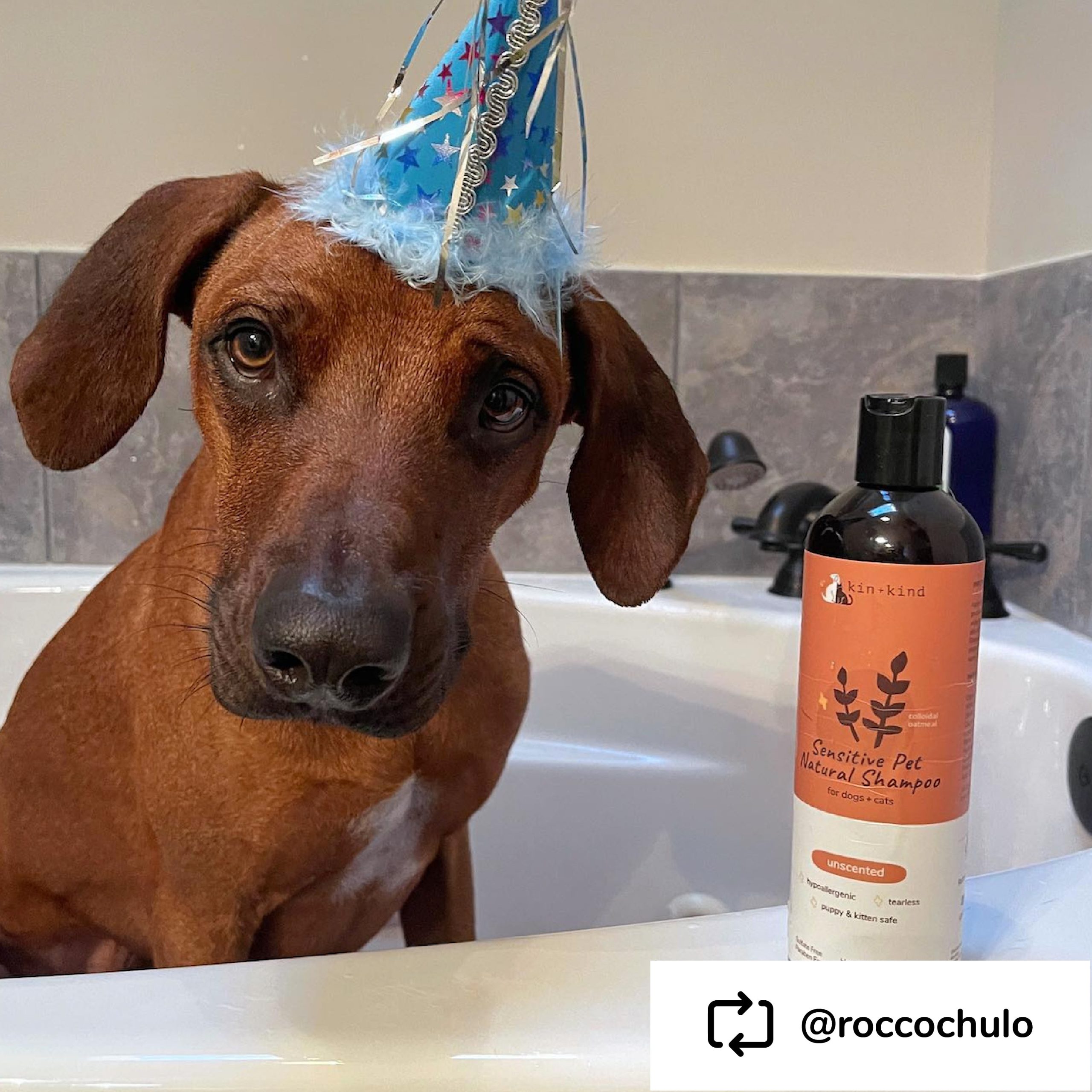 Kin+Kind Sensitive Skin Unscented Oatmeal 12oz. Natural Shampoo Puppy/Kitten - Image 2