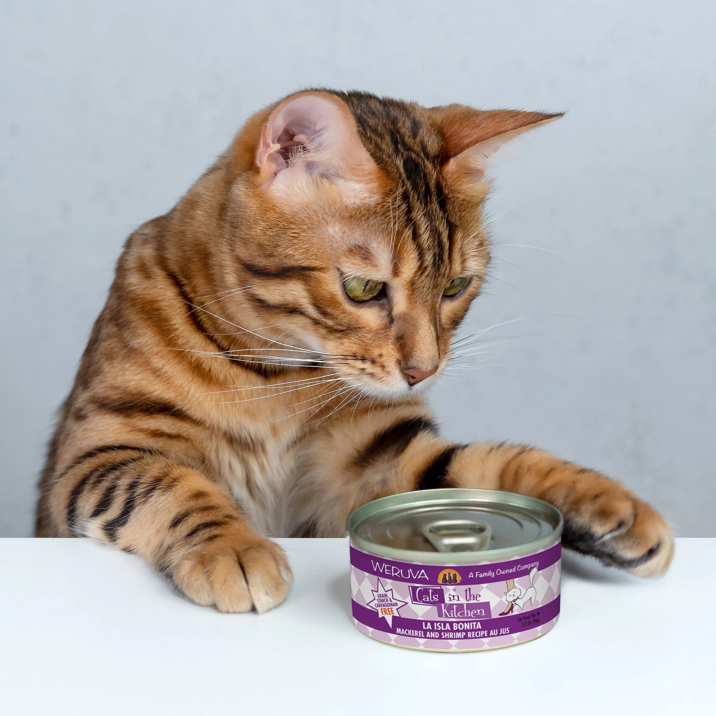 Cats in the Kitchen La Isla Bonita Wet Cat Food, Mackerel & Shrimp - Image 7