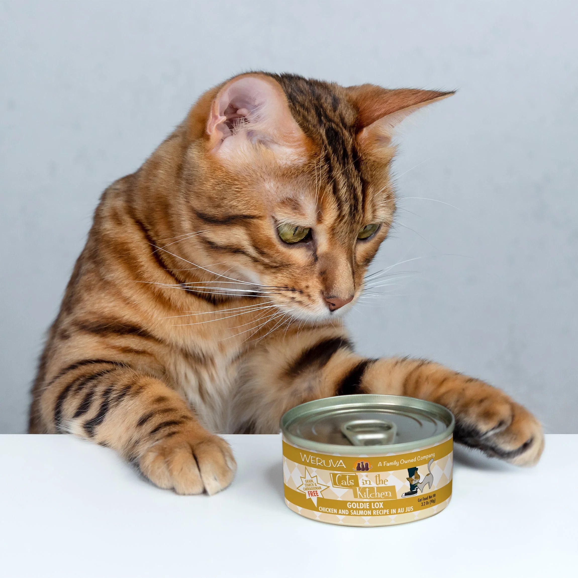 Cats in the Kitchen Goldie Lox Wet Cat Food, Chicken & Salmon - Image 7