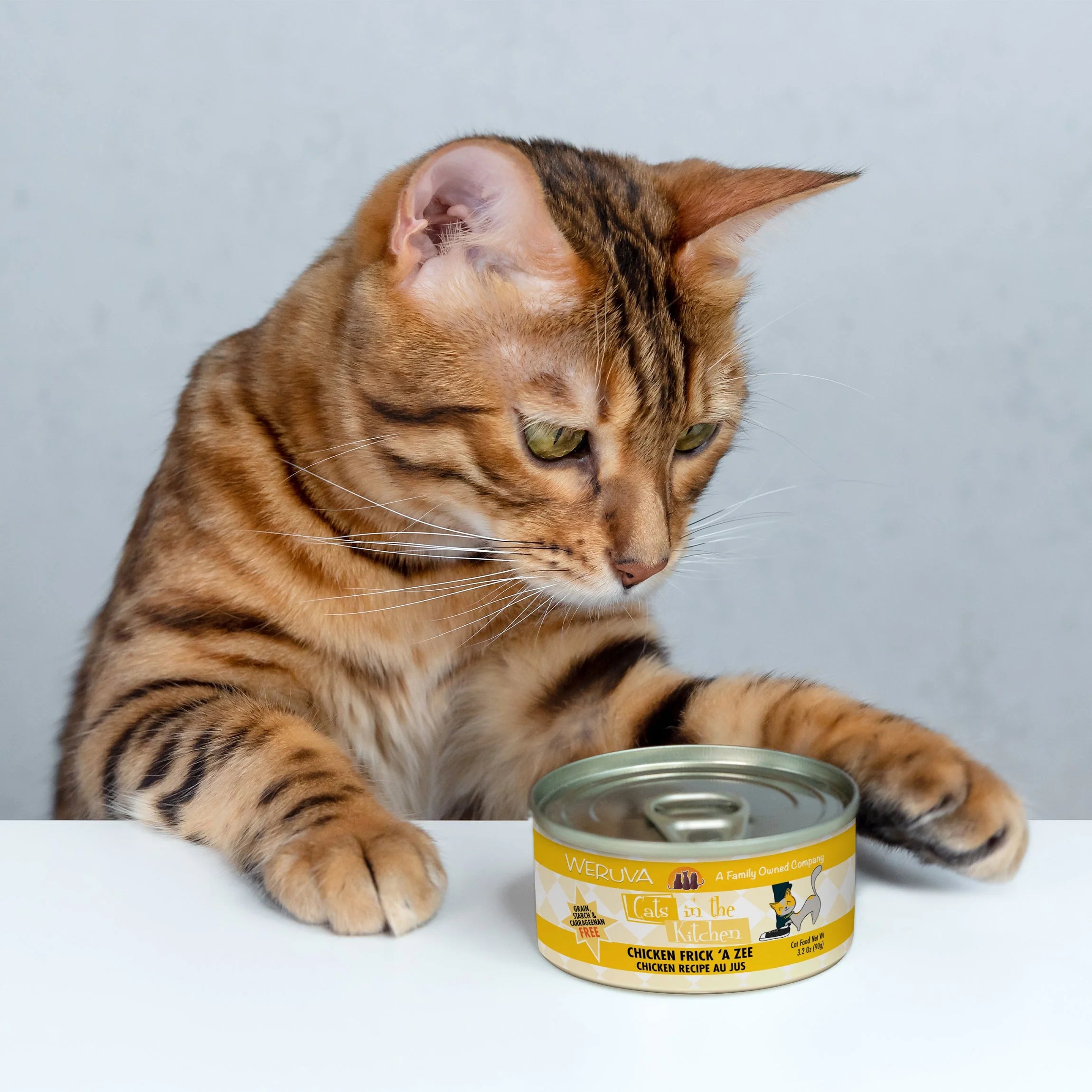 Cats in the Kitchen Chicken Frick 'A Zee Wet Cat Food, Chicken - Image 3